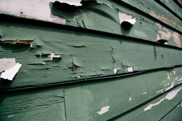 Affordable Siding Repair and Maintenance Services in Etowah, TN